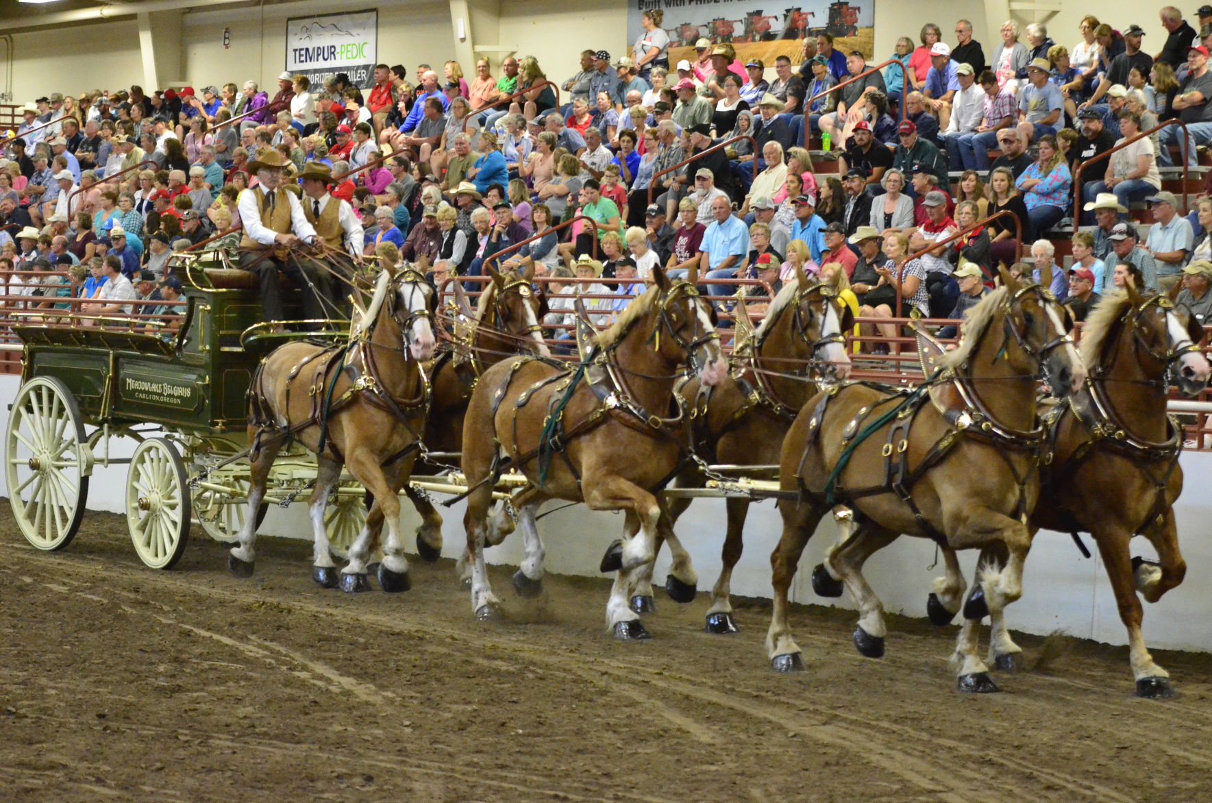 8-25-19 Draft Horse Hitch Final (117).JPG